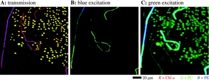 FIG. 4.