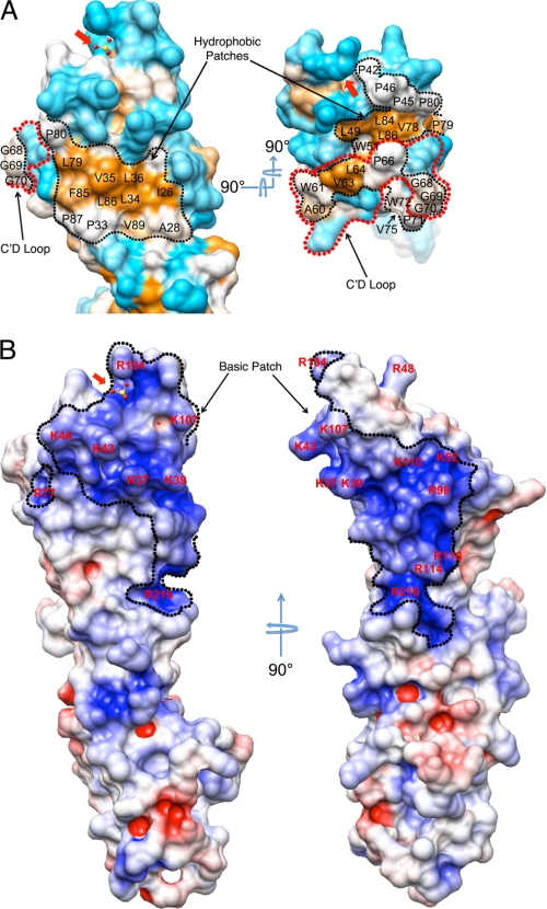 FIGURE 2.