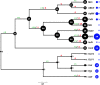 Figure 4—figure supplement 3.