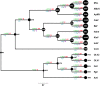 Figure 4—figure supplement 1.