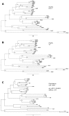 Figure 6—figure supplement 1.