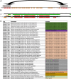 Figure 3—figure supplement 1.