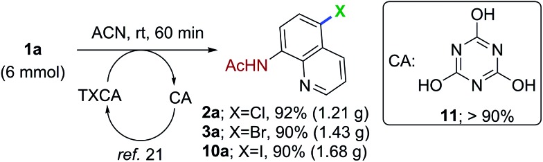 Scheme 2