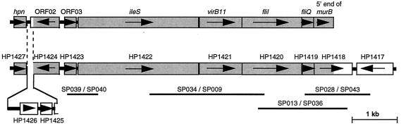 FIG. 1