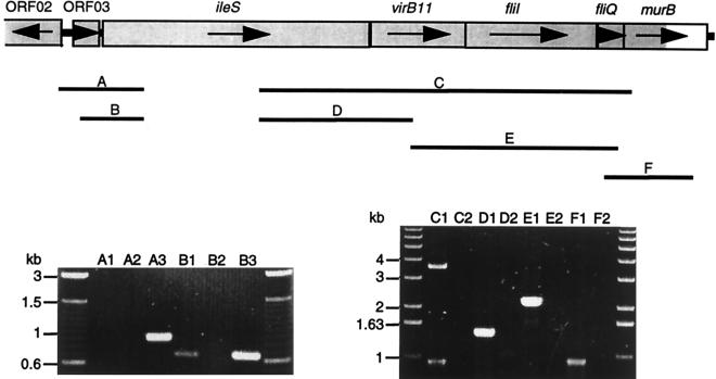 FIG. 3