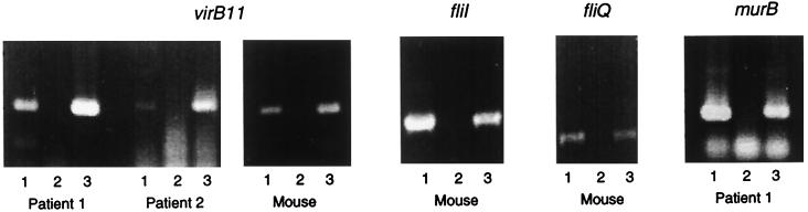 FIG. 5