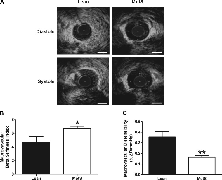 Fig. 3.