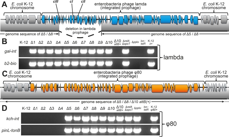 FIG 4 