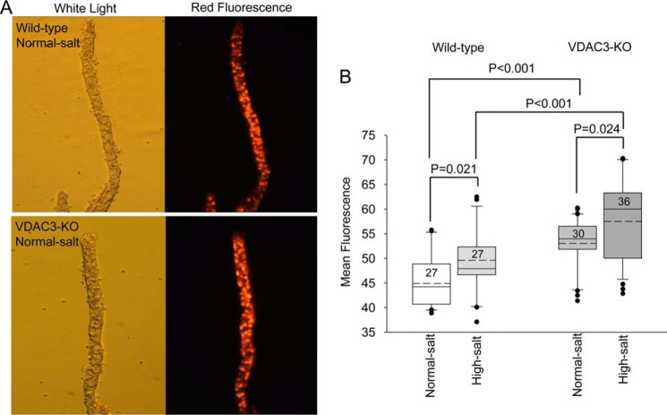 Figure 5.