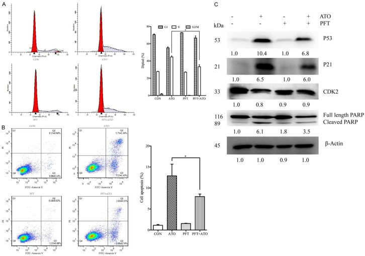 Figure 6