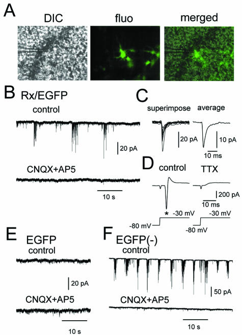 FIG. 4.