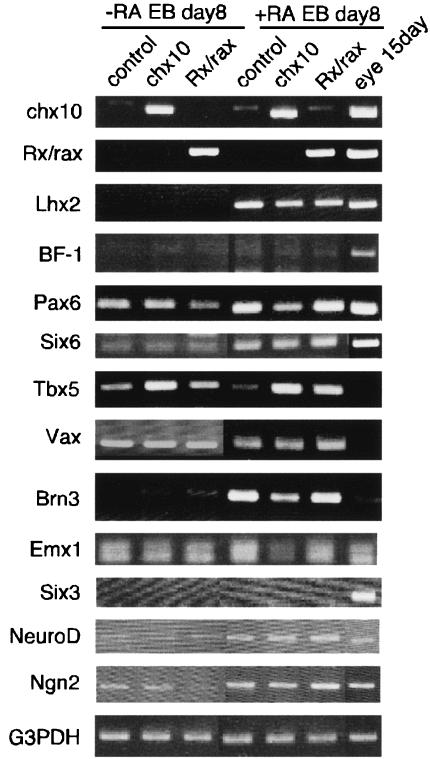 FIG. 5.