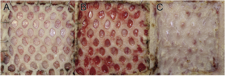 Fig. 2