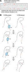 Figure 10.