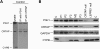 Figure 4.