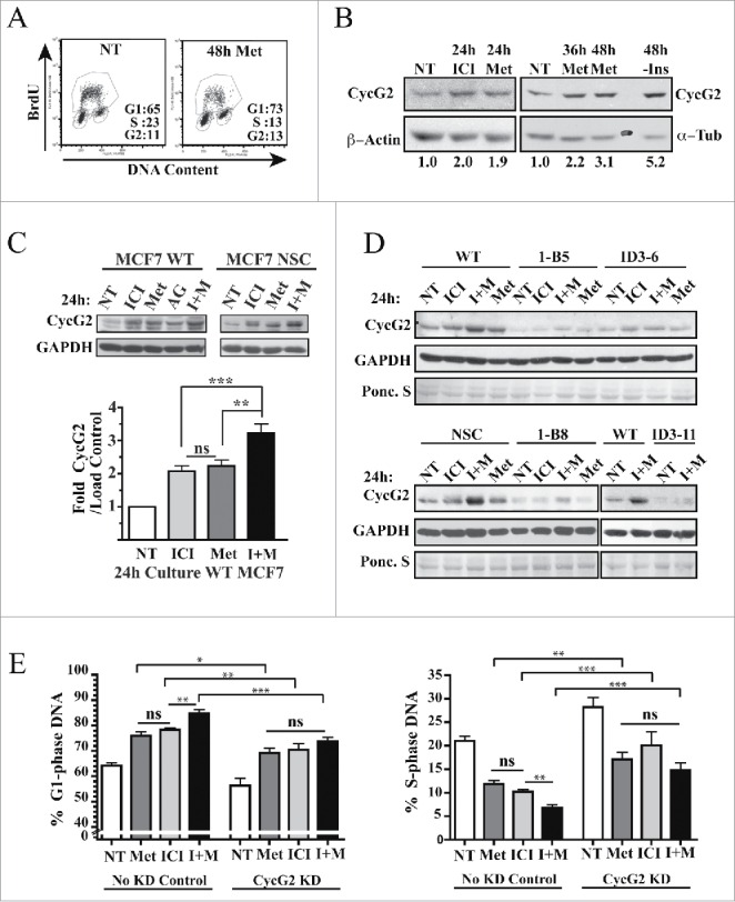 Figure 7.