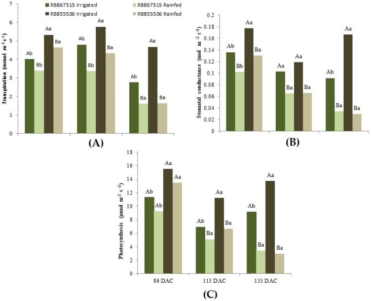 Figure 5