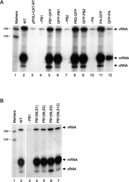 FIG. 1.