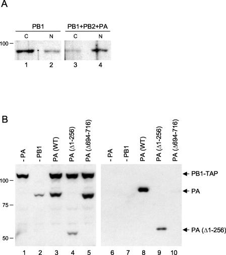 FIG. 3.