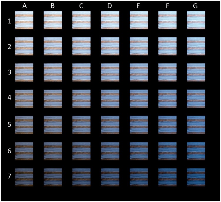 Figure 3.