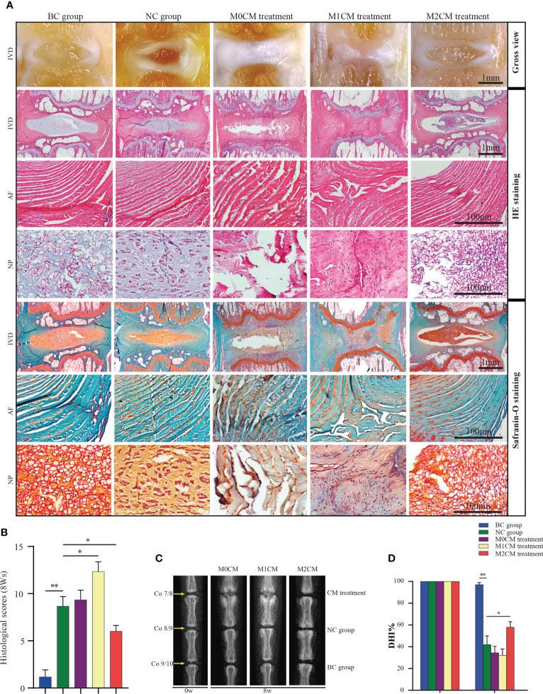 Figure 4