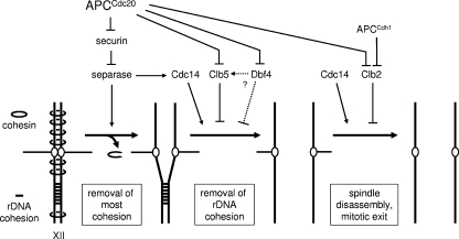 FIG. 7.