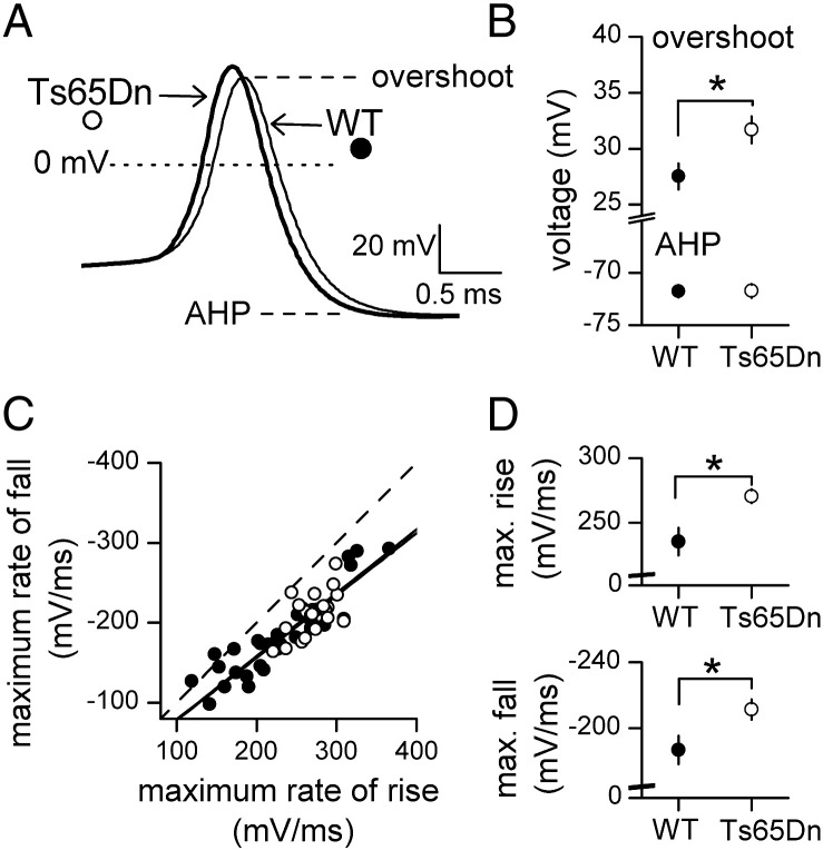 Fig. 3