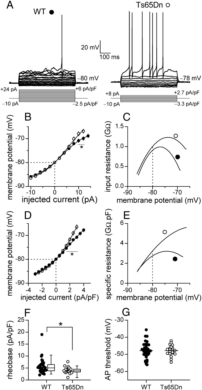 Fig. 1