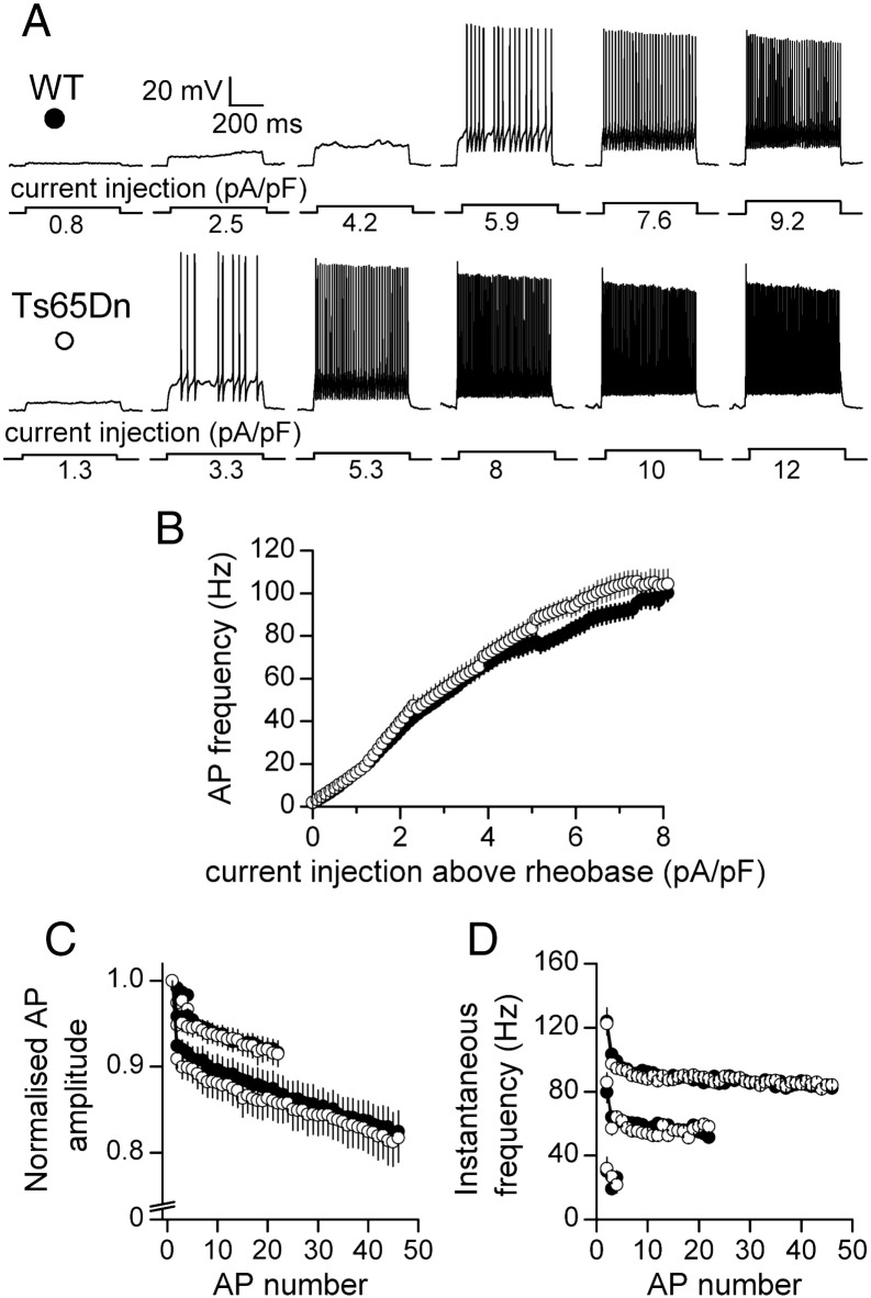 Fig. 2