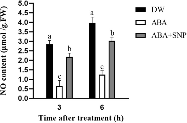 FIGURE 6