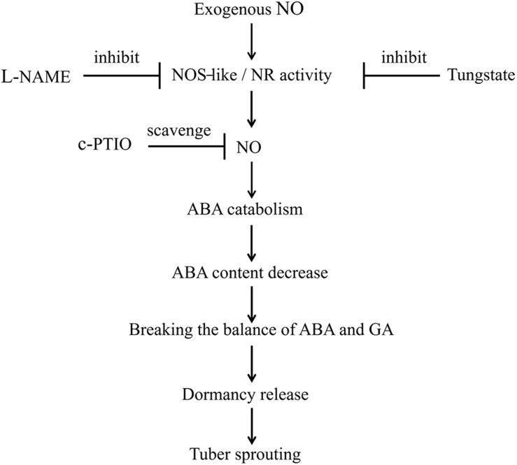 FIGURE 9