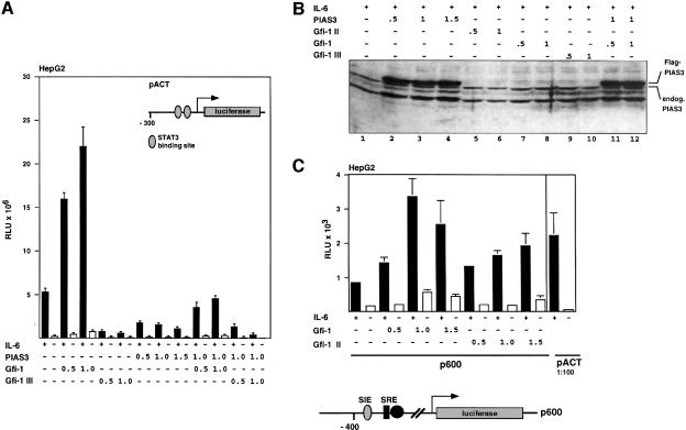 graphic file with name cdd572f8.jpg