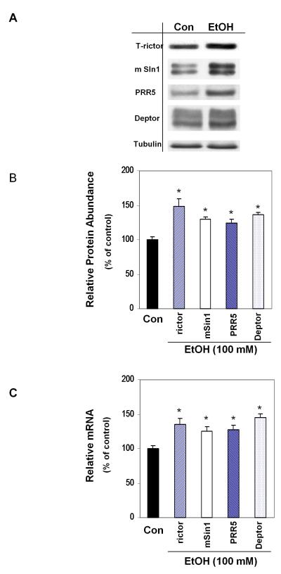 Fig.1