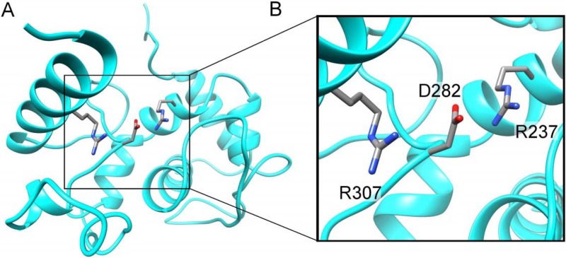 FIG 1