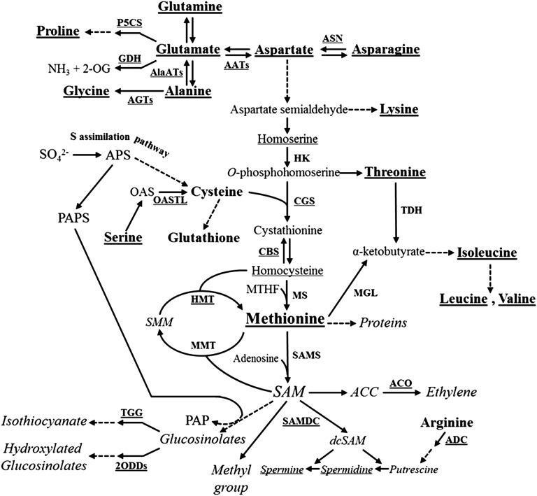 Figure 7.