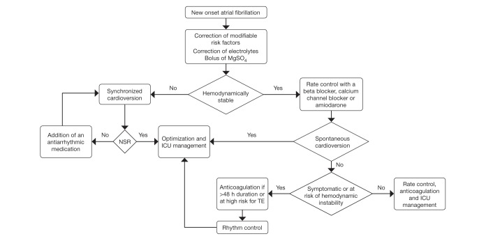 Figure 1)