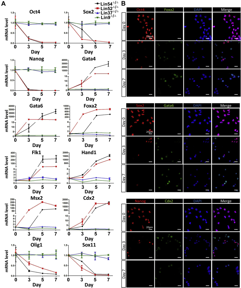 Figure 5