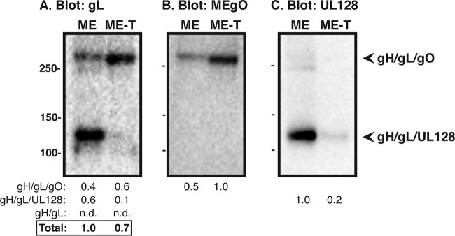 FIG 3