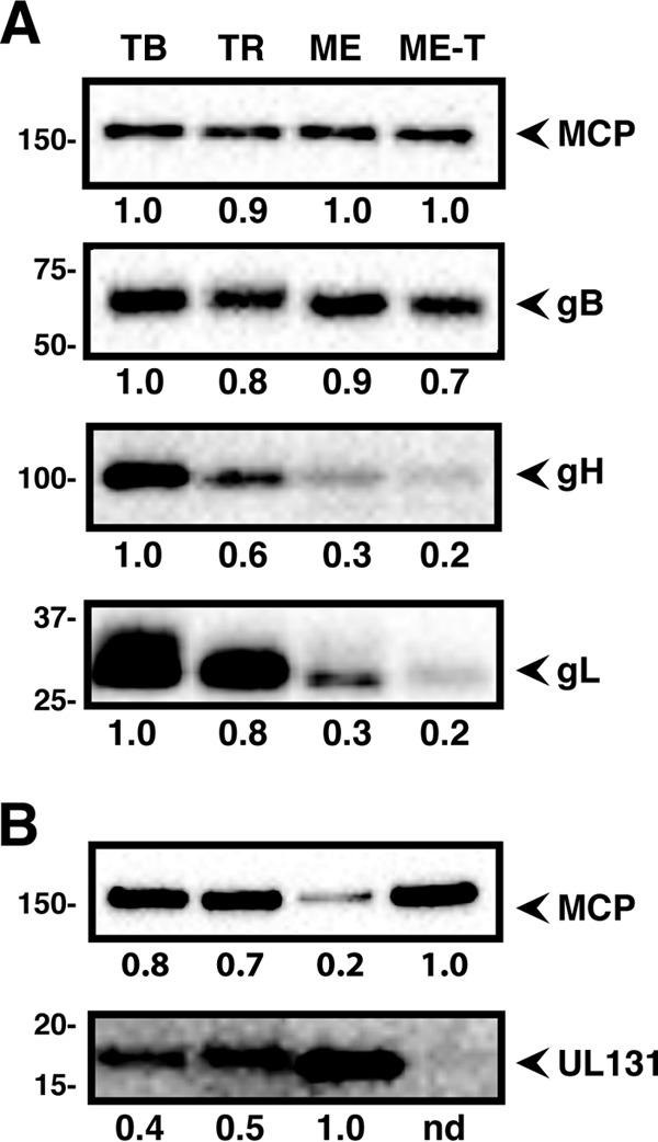 FIG 1