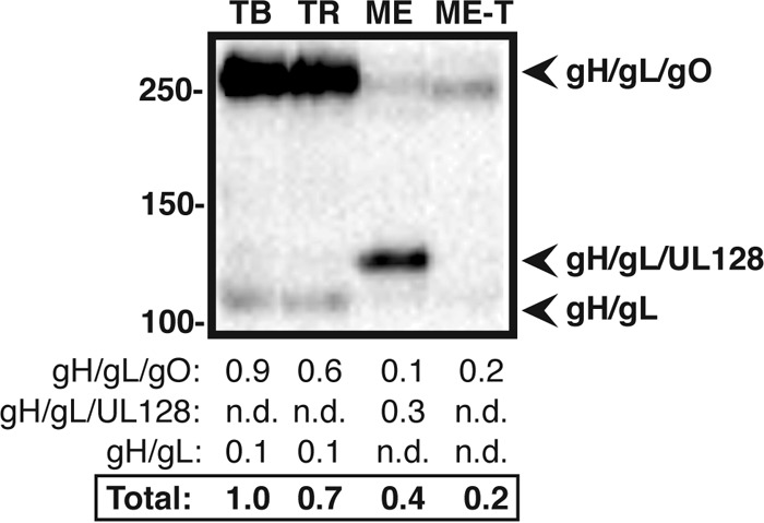 FIG 2