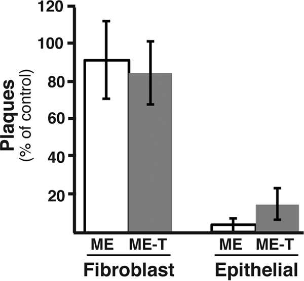 FIG 6