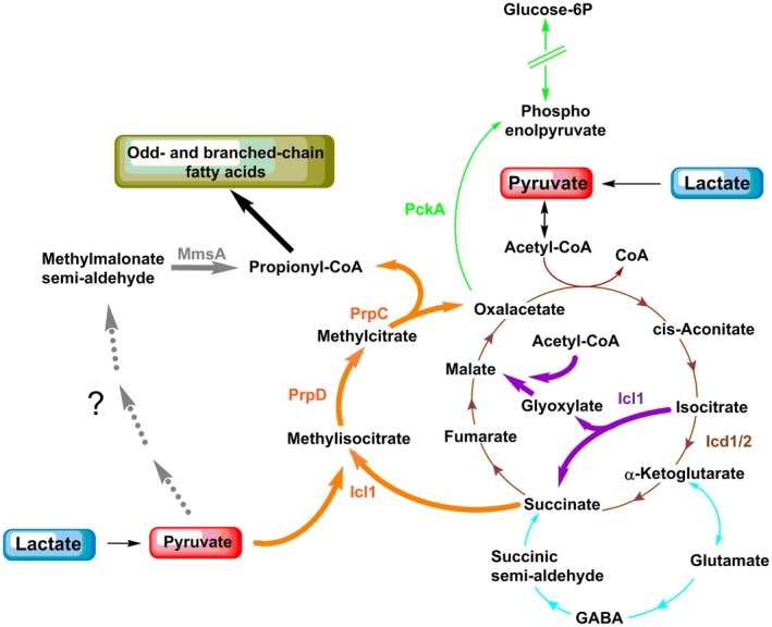 Figure 11