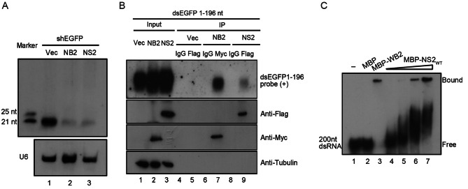 Fig. 3