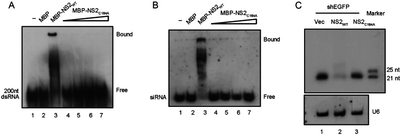 Fig. 6