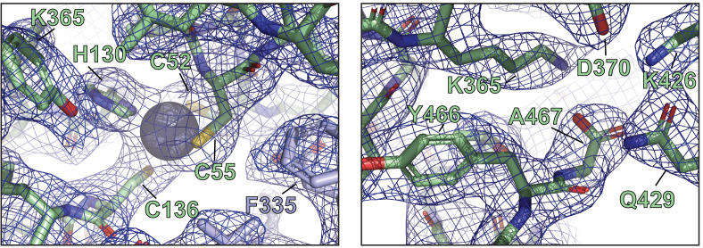 Figure 1—figure supplement 2.