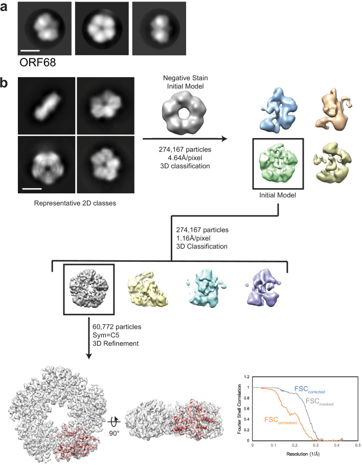 Figure 1—figure supplement 1.