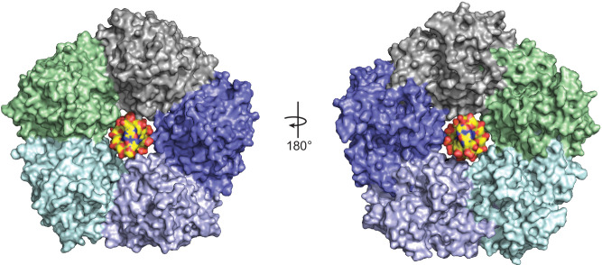 Figure 6—figure supplement 1.