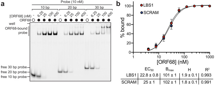 Figure 4—figure supplement 1.