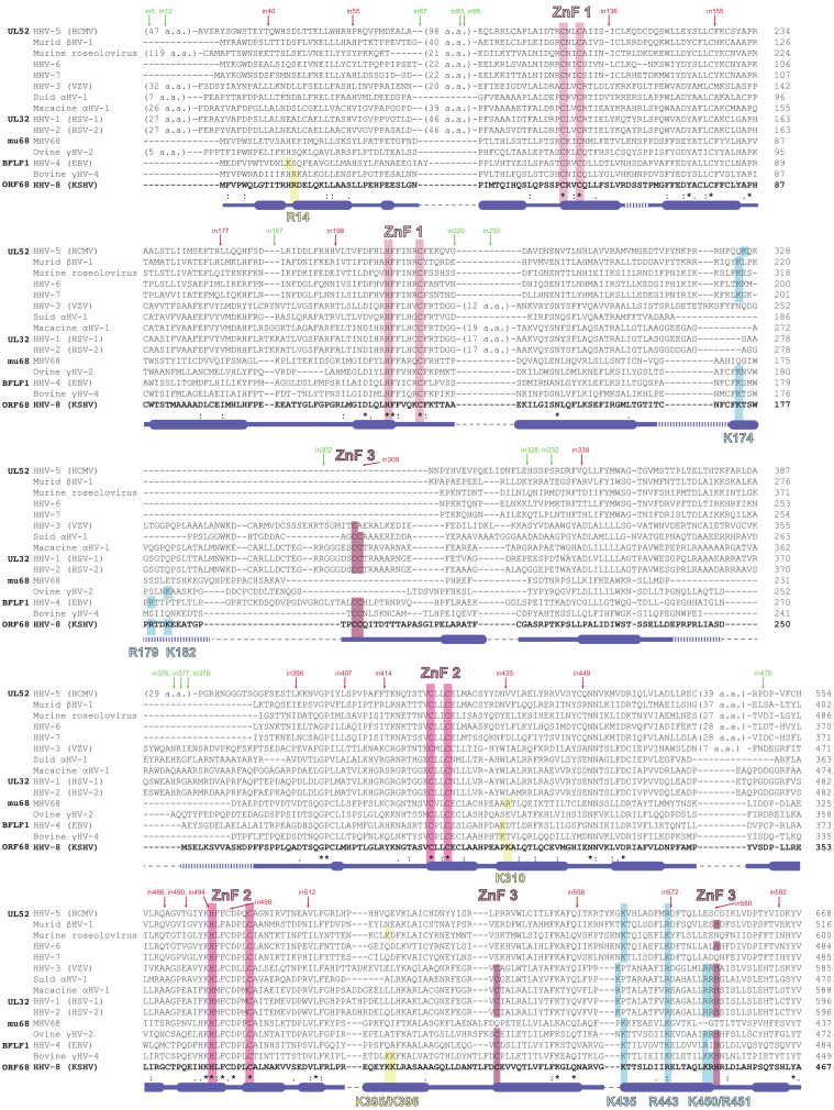 Figure 1—figure supplement 3.