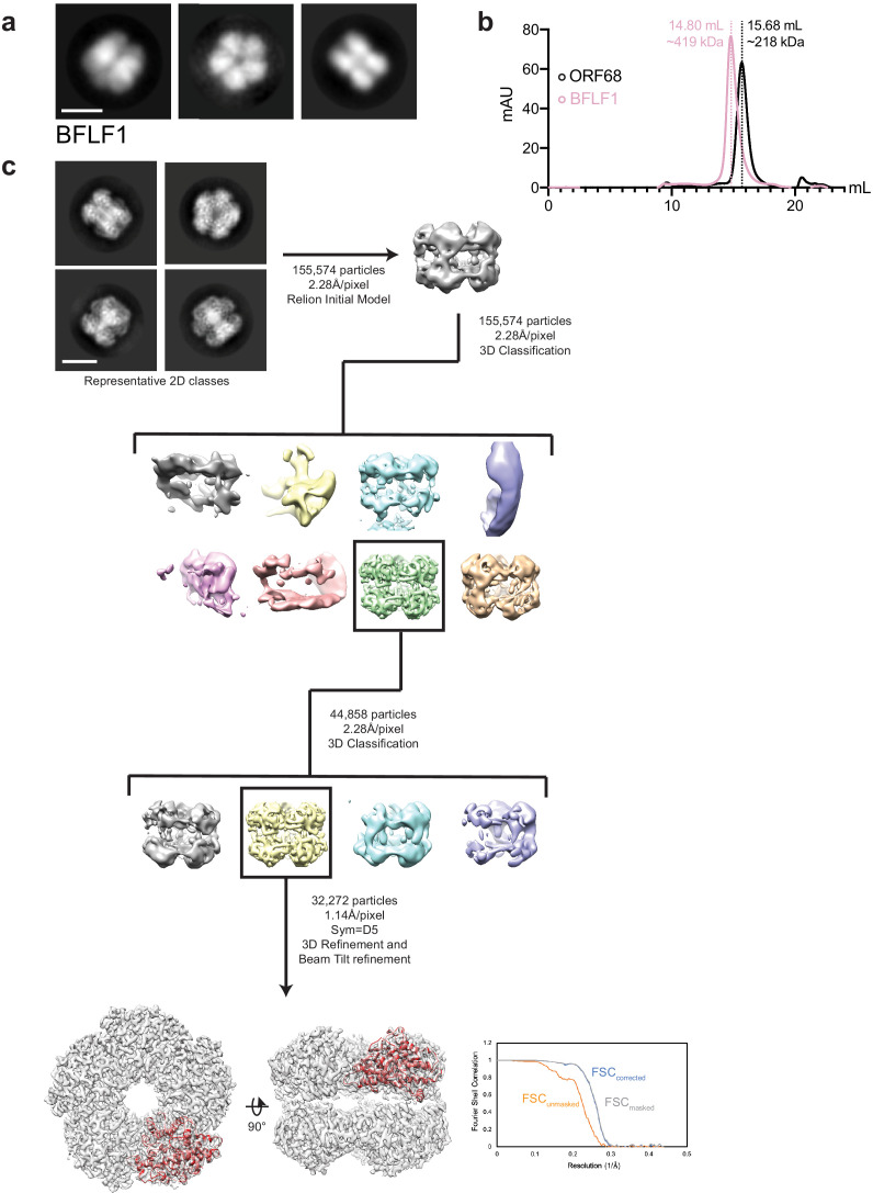 Figure 3—figure supplement 2.